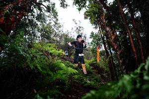 BIB: 
                            <button type="button" onclick="openModal(26203762)" class="btn btn-primary btn-sm float-right btn-popup" data-toggle="modal" data-target=".modal-high-quality">
                        <i class="fas fa-shopping-cart"></i> Add to Cart
                    </button>
                                            <button type="button" onclick="isThisMe(26203762, true)" class="btn btn-success btn-sm float-right btn-popup btn-isme hidden" data-toggle="tooltip" data-placement="bottom" title="นี่คือรูปของคุณใช่ไหม คลิกที่นี่เพื่อเอาเข้าอัลบั้ม">
                        <i class="fas fa-plus"></i> Add to album
                    </button>
                    <button type="button" onclick="isThisMe(26203762, false)" class="btn btn-warning btn-sm float-right btn-popup btn-isnotme hidden">
                        <i class="fas fa-ban"></i> Remove from album
                    </button>